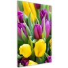 Vertikálny foto obraz fotografie na skle Farebné tulipány 50x100 cm Vertikálny foto obraz fotografie na skle Farebné tulipány 50x100 cm