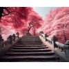 ZUTY Obrazy na stenu - Schody cez aleju ružových stromov Rámovanie: vypnuté plátno na rám, Rozmer: 40x50 cm ZUTY Obrazy na stenu - Schody cez aleju ružových stromov Rámovanie: vypnuté plátno na rám, Rozmer: 40x50 cm