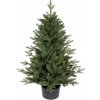 ROY Vianočný stromček smrek Bergamo 3D v kvetináči zelený 80 cm ROY Vianočný stromček smrek Bergamo 3D v kvetináči zelený 80 cm