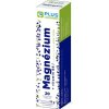 Plus Lékáreň Magnézium + Vitamín B6 tbl eff čierne ríbezle 20 ks Plus Lékáreň Magnézium + Vitamín B6 tbl eff čierne ríbezle 20 ks