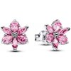Pandora Napichovacie náušnice 292633C02