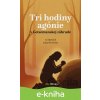 E-kniha Tri hodiny agónie v Getsemanskej záhrade - Luisa Piccarreta E-kniha Tri hodiny agónie v Getsemanskej záhrade - Luisa Piccarreta