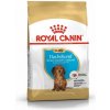 Royal Canin BHN Dachshund Puppy 1,5 kg Royal Canin BHN Dachshund Puppy 1,5 kg