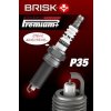 Zapaľovacia sviečka BRISK 1961 Zapaľovacia sviečka BRISK 1961