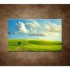 Obraz - Letná krajina 90x60cm Obraz - Letná krajina 90x60cm