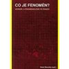 Co je fenomén? Co je fenomén?