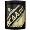 Peak Performance BCAA TST 500 g mango melon Peak Performance BCAA TST 500 g mango melon