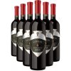 MARANI 6x Saperavi Qvevri červené suché víno (holá lahev) degustační sada po 750 ml. MARANI 6x Saperavi Qvevri červené suché víno (holá lahev) degustační sada po 750 ml.