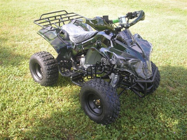 ATV Warrior XL 1000W