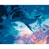 ZUTY Maľovanie podľa čísel VEĽRYBA POTÁPAJÚCA SA VO VESMÍRE Rámovanie bez rámu a bez vypnutia plátna Rozmer 80 x 100 cm