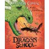 How To Train Your Dragon School: Fight of the Flamestrike - Cressida Cowell, Hachette Children's Group How To Train Your Dragon School: Fight of the Flamestrike - Cressida Cowell, Hachette Children's Group