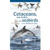 CETACEANS SEA TURTLES AND SEABIRDS ON THE BALEARIC SEA (ELVIRA MAYOL)() CETACEANS SEA TURTLES AND SEABIRDS ON THE BALEARIC SEA (ELVIRA MAYOL)()