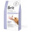 Brit Veterinary Diets GF Dog Gastrointestinal 2 kg Brit Veterinary Diets GF Dog Gastrointestinal 2 kg
