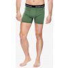 Boxerky Smartwool Merino Boxer Brief Boxed - fern green Boxerky Smartwool Merino Boxer Brief Boxed - fern green