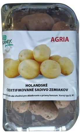 Sadbové zemiaky Agria - minihľuzy 1 kg