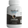 Medveď natural Chaga 30 kapsúl Medveď natural Chaga 30 kapsúl