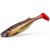 DELPHIN - Umelá nástraha Realix 3D 13 cm 2 ks Minnow DELPHIN - Umelá nástraha Realix 3D 13 cm 2 ks Minnow