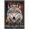 Wölfe aus aller Welt (Tischkalender 2026 DIN A5 hoch), CALVENDO Monatskalender Wölfe aus aller Welt (Tischkalender 2026 DIN A5 hoch), CALVENDO Monatskalender