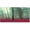 Foto obraz akryl do obývačky Jesenné lístie 100x50 cm Foto obraz akryl do obývačky Jesenné lístie 100x50 cm