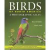 Birds of North America – A Photographic Atlas (Bruce M. Beehler,Brian E. Small,Michael J. Parr)(Pevná) Birds of North America – A Photographic Atlas (Bruce M. Beehler,Brian E. Small,Michael J. Parr)(Pevná)