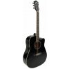 V-TONE AG TWO BK 4/4 Čierna V-TONE AG TWO BK 4/4 Čierna