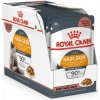 Royal Canin Hair & Skin Care Jelly kapsička pre mačky v želé 12 x 85 g Royal Canin Hair & Skin Care Jelly kapsička pre mačky v želé 12 x 85 g
