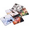 SmallRig 6044 Camera Wrap 5-in-1 Set Wild China Film Series SmallRig 6044 Camera Wrap 5-in-1 Set Wild China Film Series