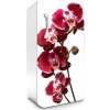 Fototapeta Dimex Orchid 65 x 120 cm FR120-014 (Samolepiace fototapety na chladničku ) Fototapeta Dimex Orchid 65 x 120 cm FR120-014 (Samolepiace fototapety na chladničku )