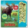 Zvířata - Velká kniha zvuků - autor neuvedený Zvířata - Velká kniha zvuků - autor neuvedený