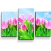 Sablio Obraz - 3-dílný Ružové tulipány - 75x50 cm Sablio Obraz - 3-dílný Ružové tulipány - 75x50 cm