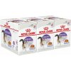 Royal Canin Sterilised Jelly kapsička pre kastrované mačky v želé 36 x 85 g Royal Canin Sterilised Jelly kapsička pre kastrované mačky v želé 36 x 85 g