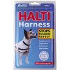 NOBBY Halti postroj S