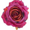 HLAVA RUŽA CYKLAMENOVÁ PRIEM:10CM BAL:12KS HLAVA RUŽA CYKLAMENOVÁ PRIEM:10CM BAL:12KS
