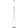 Apple Thunderbolt to Firewire Adapter