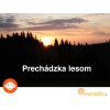 Prechádzka lesom