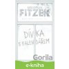 E-kniha Dívka s kalendářem - Sebastian Fitzek E-kniha Dívka s kalendářem - Sebastian Fitzek