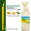 HOXI Telové sviece s Eukalyptom 10 ks