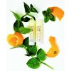 Biorythme Balzám na rty s chia olejem Mandarinka Biorythme 4,8 ml