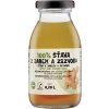 Zdravo 100% jablko a zázvor 200 ml Zdravo 100% jablko a zázvor 200 ml