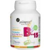 Aliness vitamín B komplex B-15 metyl - 100 veg. kapsúl Aliness vitamín B komplex B-15 metyl - 100 veg. kapsúl
