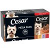 Megabalenie Cesar mištičky 24 x 150 g - Landragout Megabalenie Cesar mištičky 24 x 150 g - Landragout
