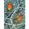 Wild Birds Pocket Notebook: Robin (Sarah Ross-Thompson)(Diár) Wild Birds Pocket Notebook: Robin (Sarah Ross-Thompson)(Diár)