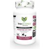 Vetri Science CoQ10 Healthy Heart Capsules pre psy a mačky 100 tbl