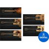 Ample Sound Ample 5in1 Acoustic Guitars Bundle (Digitálny produkt)