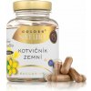 Golden Nature Exclusive Kotvičník zemný 90 %+Zinok+Selén 100 kapsúl Golden Nature Exclusive Kotvičník zemný 90 %+Zinok+Selén 100 kapsúl