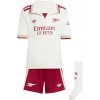 adidas Arsenal FC 2025/26 3rd Mini Kids ji9541