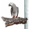 Korkové bidlo pre papagáje a vtáky Posedenie z korkového dreva XL Korkové bidlo pre papagáje a vtáky Posedenie z korkového dreva XL