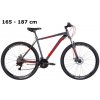 MTB Discovery Bastion 29 grey-red MTB Discovery Bastion 29 grey-red