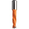 IGM Professional CMT 308 Vrták kolíkovací nepriechodzí S10 L57,5 HW - D4x26 S=10x20 L57,5 L C30804012 IGM Professional CMT 308 Vrták kolíkovací nepriechodzí S10 L57,5 HW - D4x26 S=10x20 L57,5 L C30804012