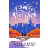 A Winter in New York - Silver Josie A Winter in New York - Silver Josie